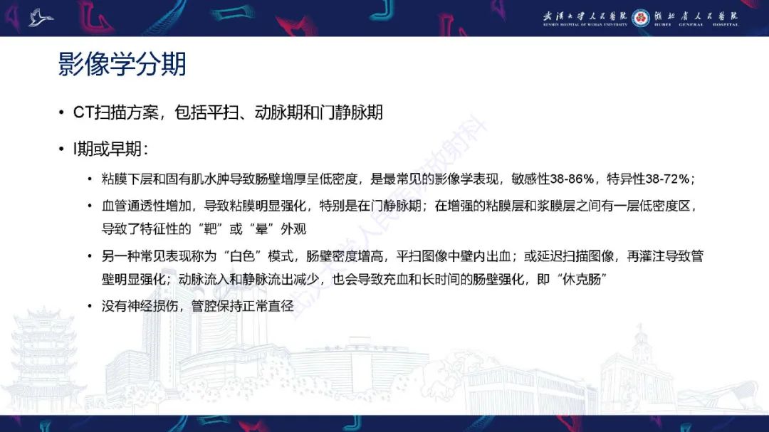 影像PPT - 【PPT】急性肠缺血影像诊断-12