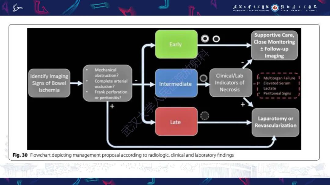 影像PPT - 【PPT】急性肠缺血影像诊断-32