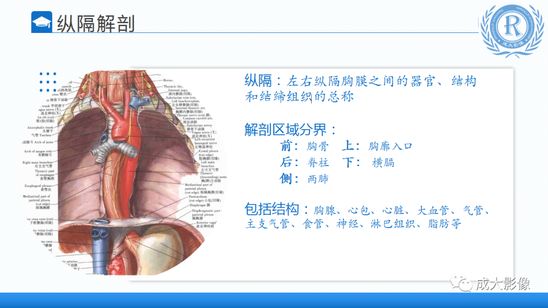 影像PPT - 【PPT】纵隔常见肿瘤及瘤样病变的诊断思路-2