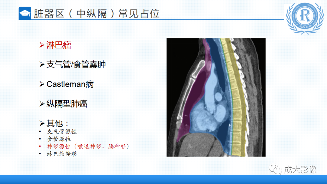 影像PPT - 【PPT】纵隔常见肿瘤及瘤样病变的诊断思路-26