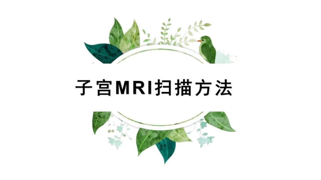 影像PPT - 【PPT】子宫内膜病变MRI诊断-2