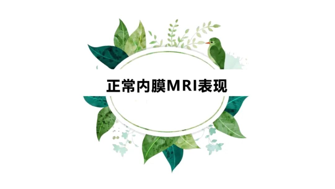 影像PPT - 【PPT】子宫内膜病变MRI诊断-7