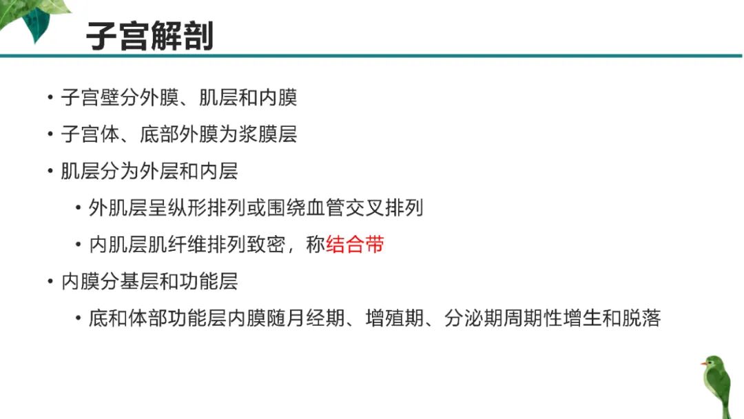 影像PPT - 【PPT】子宫内膜病变MRI诊断-8