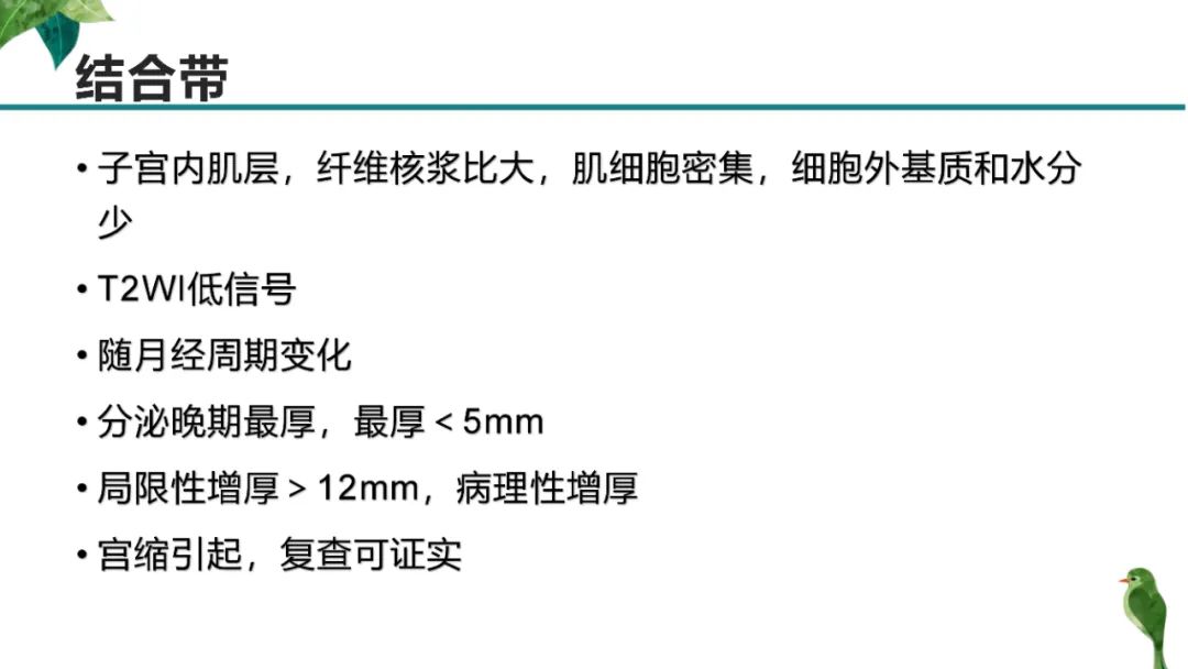 影像PPT - 【PPT】子宫内膜病变MRI诊断-12