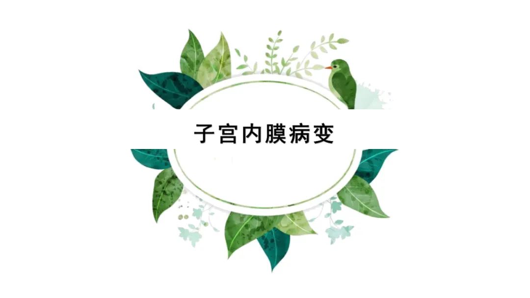 影像PPT - 【PPT】子宫内膜病变MRI诊断-18