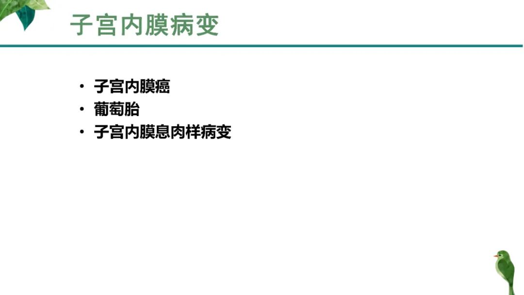 影像PPT - 【PPT】子宫内膜病变MRI诊断-19
