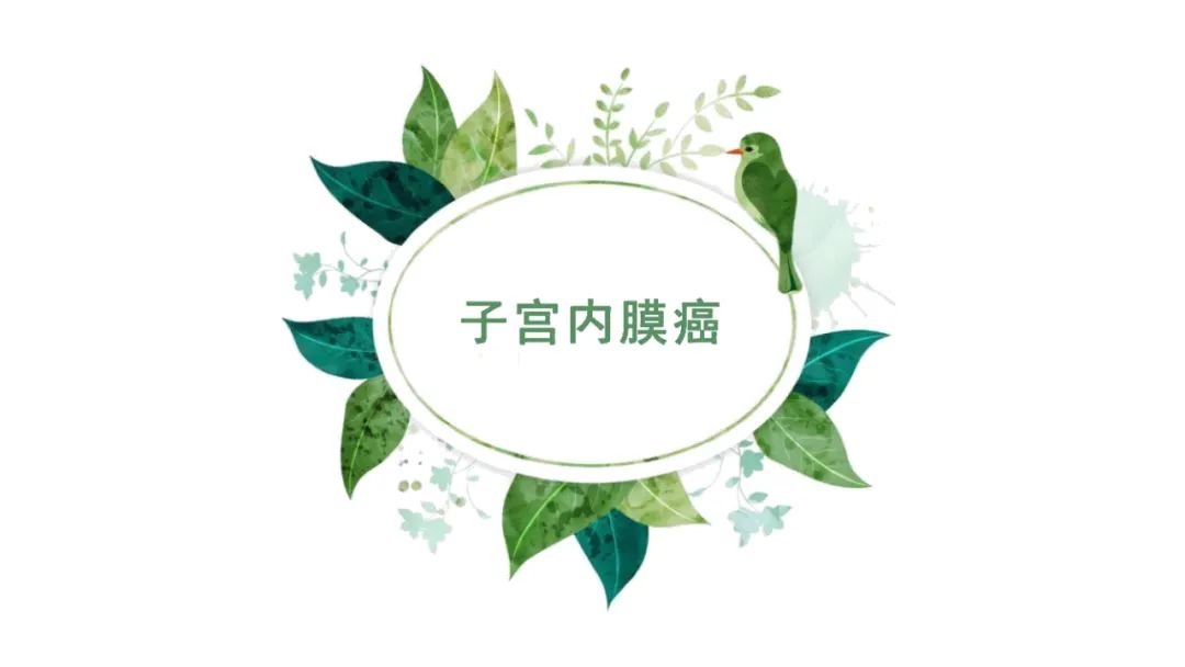 影像PPT - 【PPT】子宫内膜病变MRI诊断-20