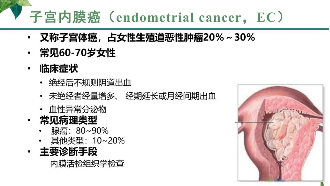 影像PPT - 【PPT】子宫内膜病变MRI诊断-21