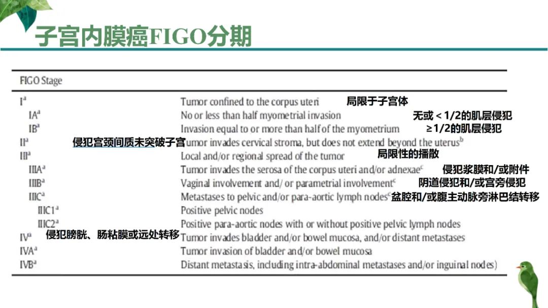 影像PPT - 【PPT】子宫内膜病变MRI诊断-24