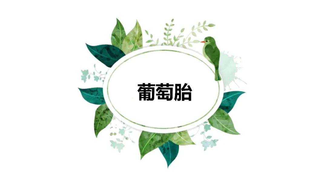 影像PPT - 【PPT】子宫内膜病变MRI诊断-31