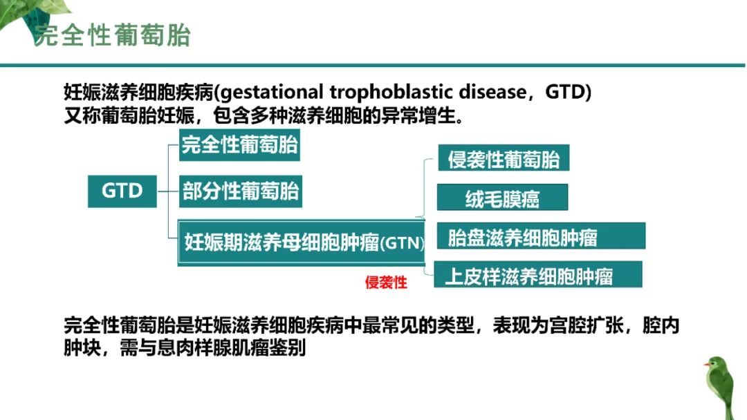 影像PPT - 【PPT】子宫内膜病变MRI诊断-32