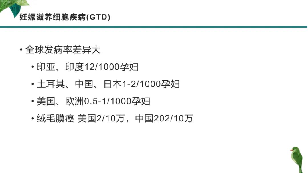 影像PPT - 【PPT】子宫内膜病变MRI诊断-33