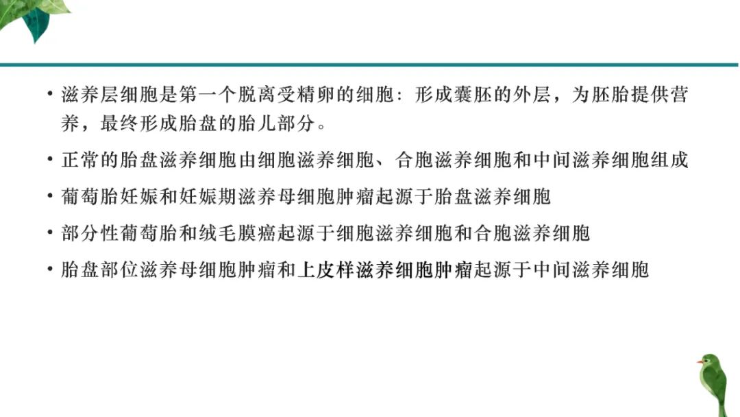 影像PPT - 【PPT】子宫内膜病变MRI诊断-34