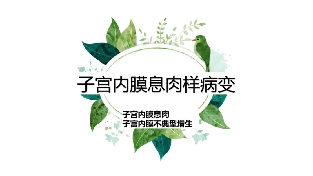 影像PPT - 【PPT】子宫内膜病变MRI诊断-48