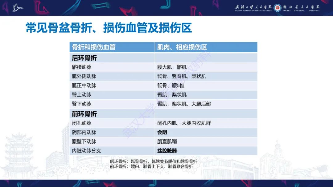 影像PPT - 【PPT】骨盆骨折合并血管损伤CT诊断-17