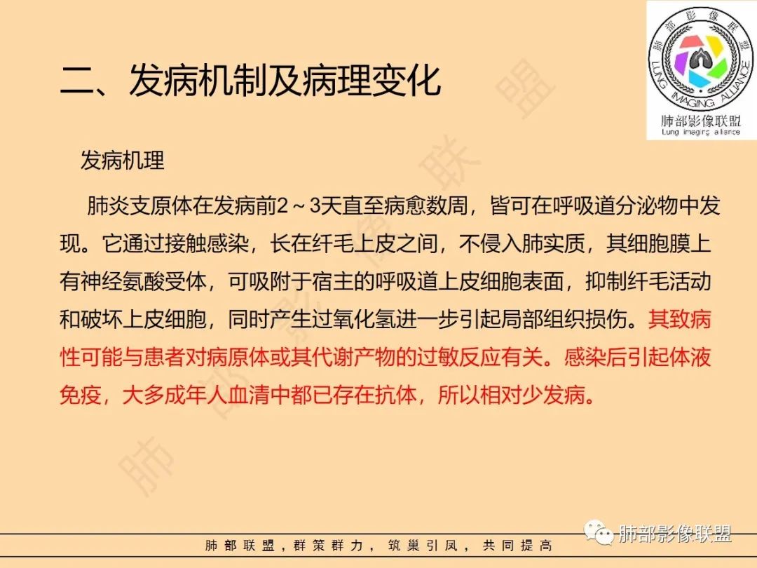 影像PPT - 【PPT】肺炎支原体肺炎影像分析-5 影像PPT - 【PPT】肺炎支原体肺炎影像分析-5