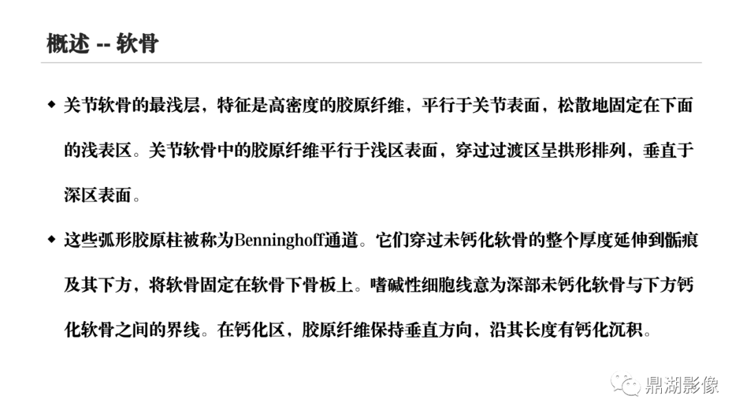 影像PPT - 【PPT】MR诊断骨关节里的组织分层-5 影像PPT - 【PPT】MR诊断骨关节里的组织分层-5