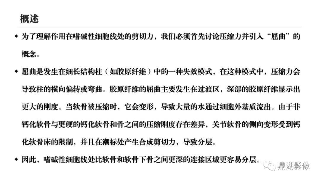 影像PPT - 【PPT】MR诊断骨关节里的组织分层-9 影像PPT - 【PPT】MR诊断骨关节里的组织分层-9