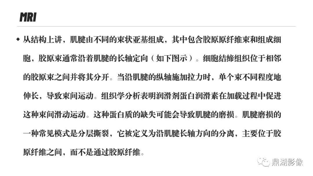 影像PPT - 【PPT】MR诊断骨关节里的组织分层-33 影像PPT - 【PPT】MR诊断骨关节里的组织分层-33
