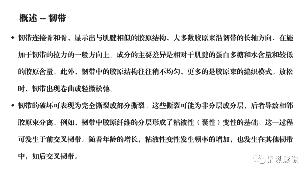 影像PPT - 【PPT】MR诊断骨关节里的组织分层-49 影像PPT - 【PPT】MR诊断骨关节里的组织分层-49
