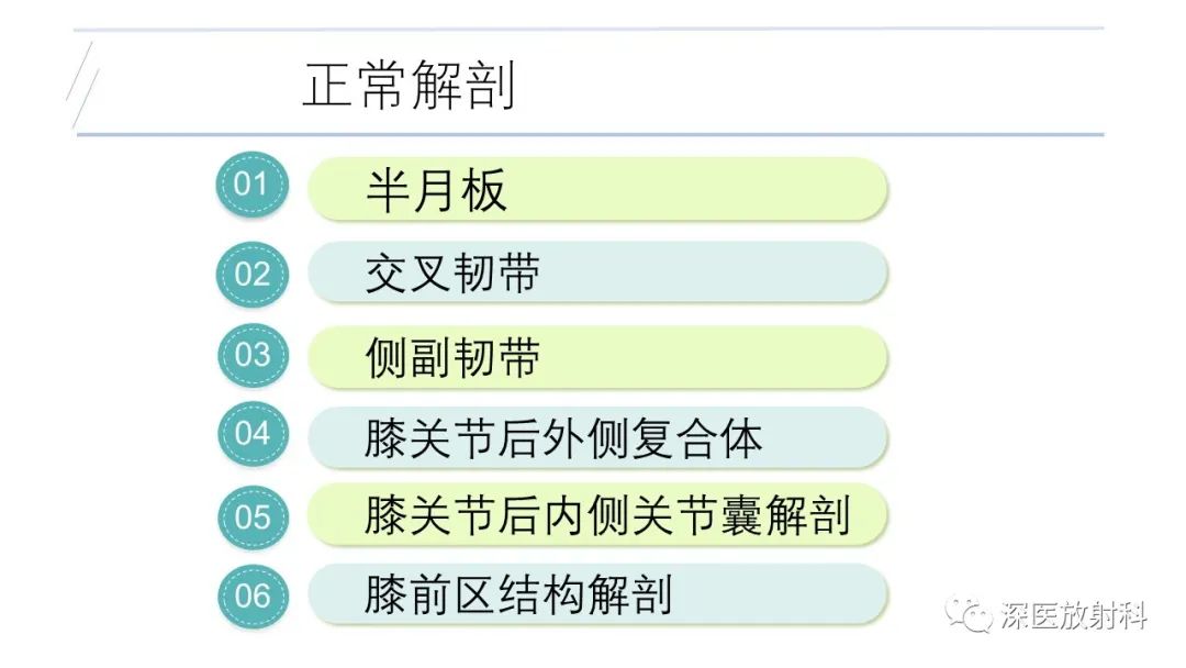 影像PPT - 【PPT】膝关节解剖变异的影像诊断-2