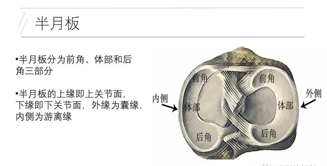 影像PPT - 【PPT】膝关节解剖变异的影像诊断-4