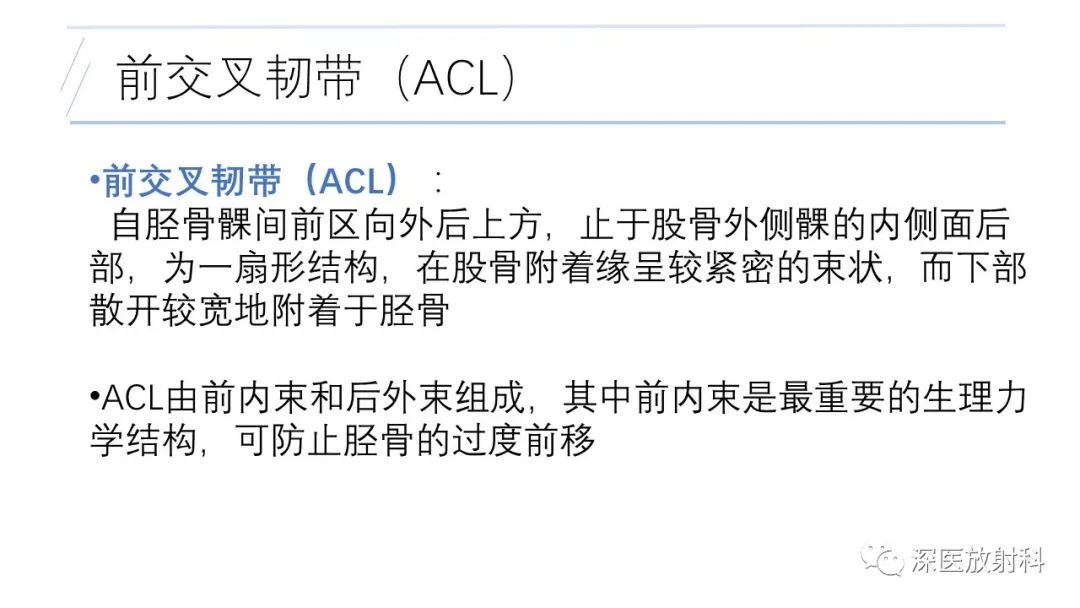 影像PPT - 【PPT】膝关节解剖变异的影像诊断-7