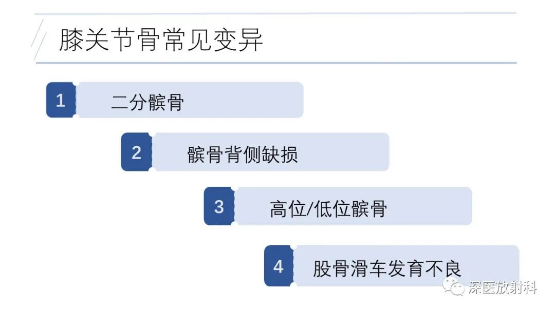 影像PPT - 【PPT】膝关节解剖变异的影像诊断-17