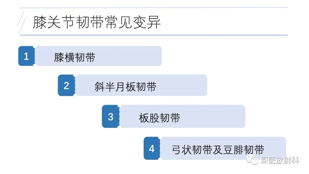 影像PPT - 【PPT】膝关节解剖变异的影像诊断-33
