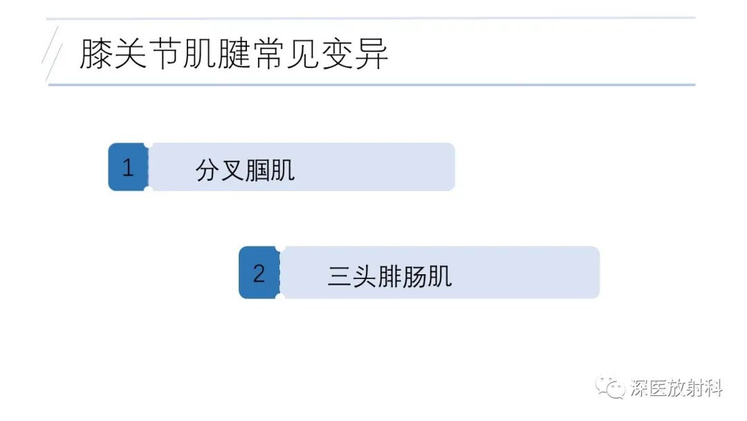 影像PPT - 【PPT】膝关节解剖变异的影像诊断-41