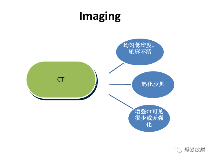 影像PPT - 【病例】弥漫型星形细胞瘤2例MR-23