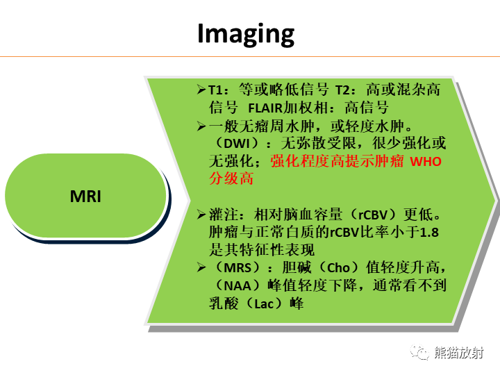 影像PPT - 【病例】弥漫型星形细胞瘤2例MR-24
