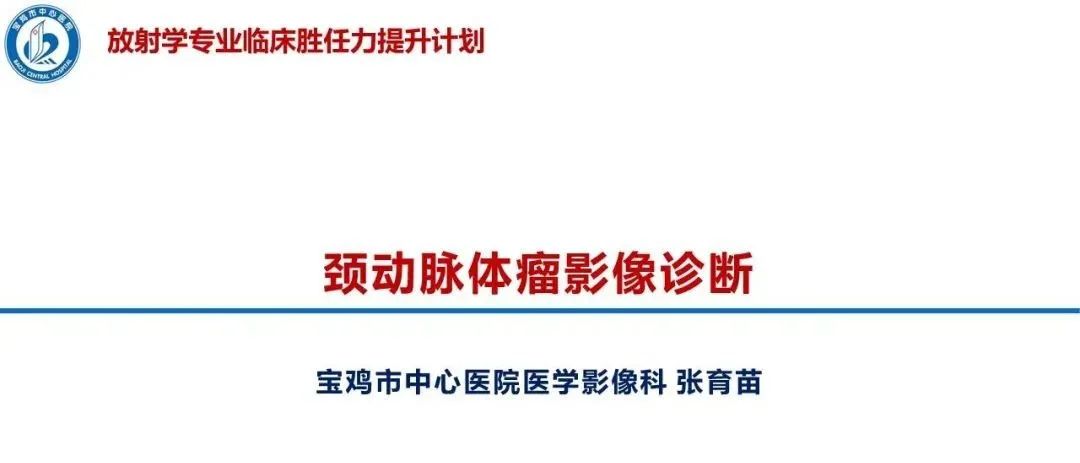 影像PPT - 【PPT】颈动脉体瘤的影像诊断-1