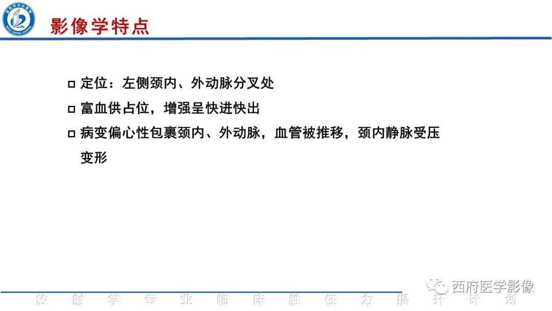 影像PPT - 【PPT】颈动脉体瘤的影像诊断-10