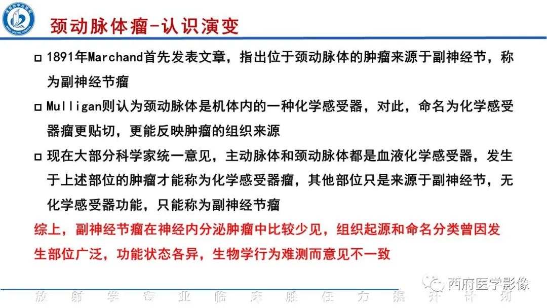 影像PPT - 【PPT】颈动脉体瘤的影像诊断-12