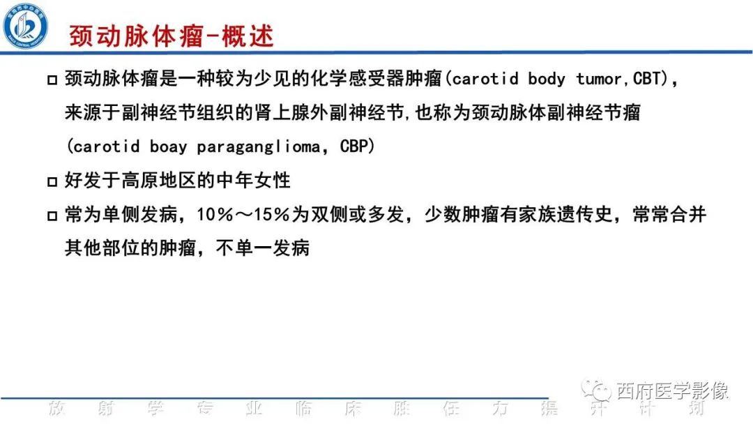 影像PPT - 【PPT】颈动脉体瘤的影像诊断-13