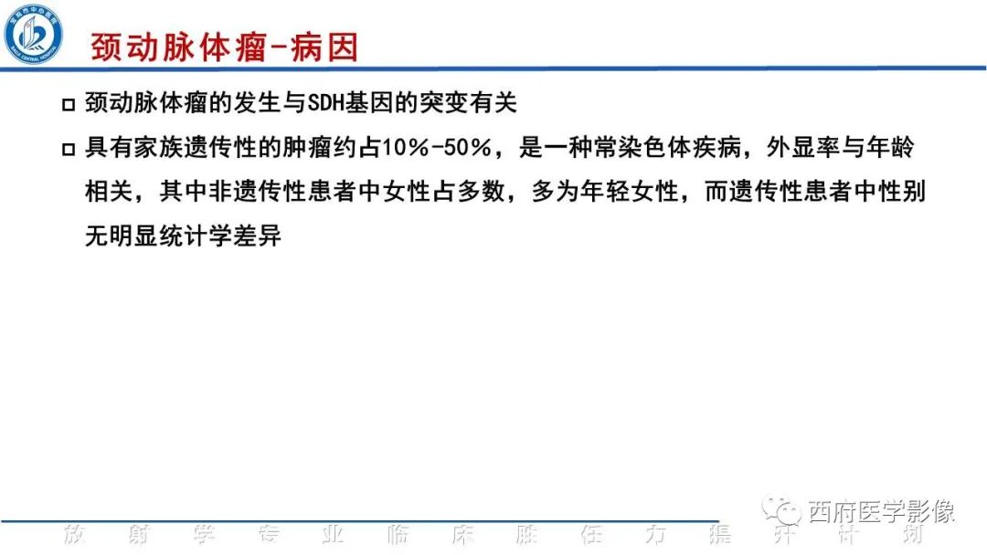 影像PPT - 【PPT】颈动脉体瘤的影像诊断-15