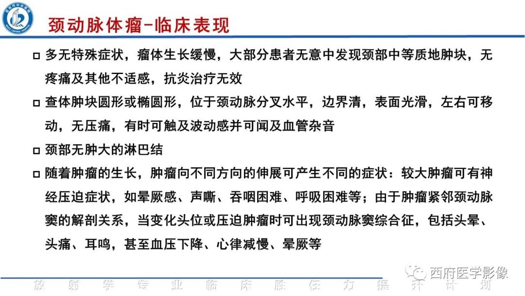 影像PPT - 【PPT】颈动脉体瘤的影像诊断-14