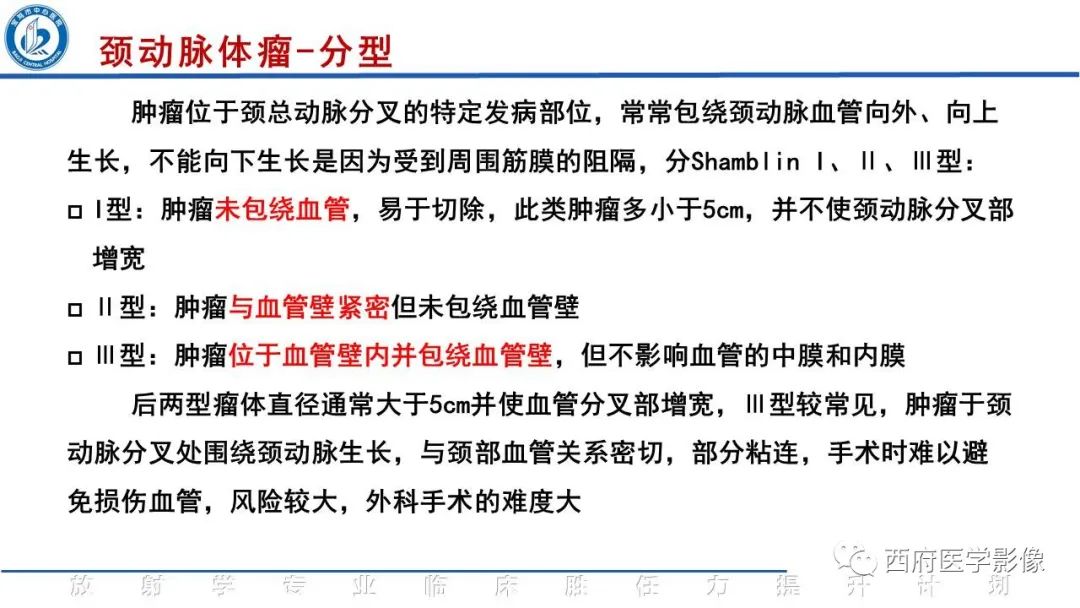 影像PPT - 【PPT】颈动脉体瘤的影像诊断-16