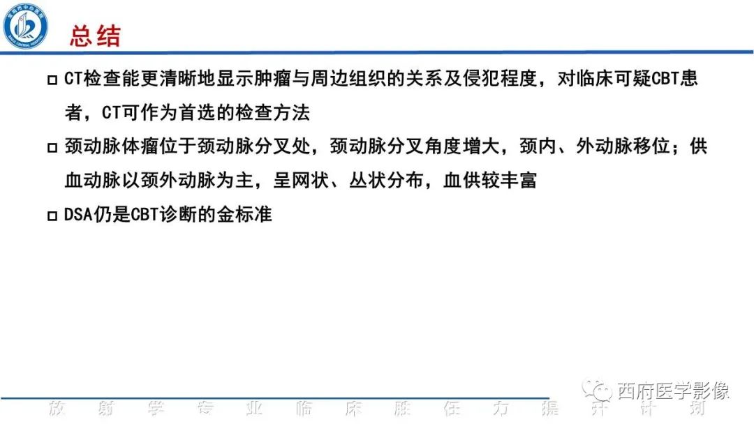 影像PPT - 【PPT】颈动脉体瘤的影像诊断-22