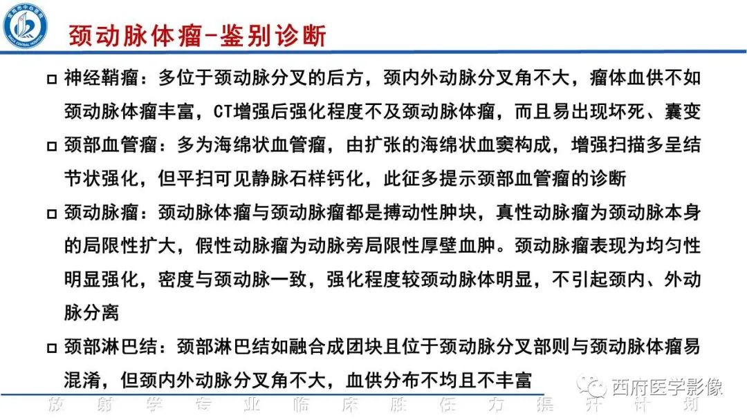影像PPT - 【PPT】颈动脉体瘤的影像诊断-21