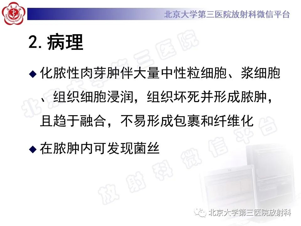 影像PPT - 【PPT】肺奴卡菌病-21