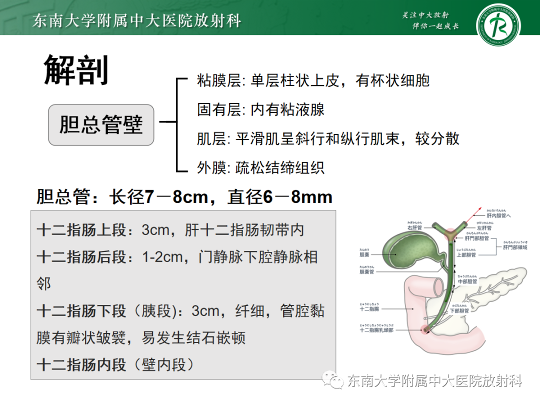 影像PPT - 【病例】胆管狭窄3例X线CT及MR病例随访-17 影像PPT - 【病例】胆管狭窄3例X线CT及MR病例随访-17