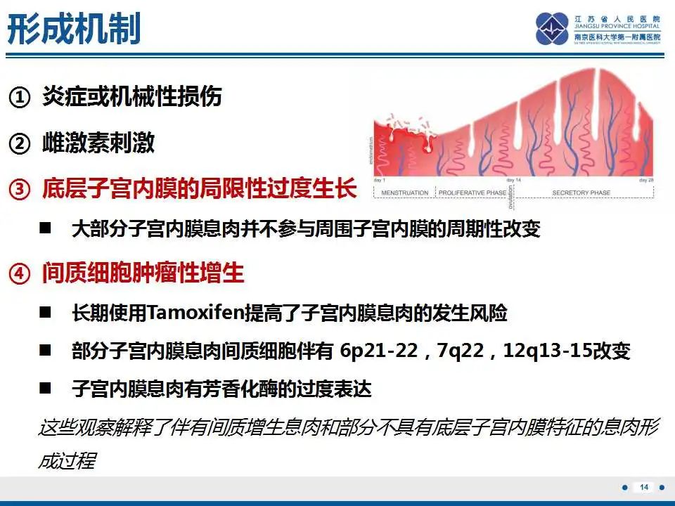 影像PPT - 【PPT】子宫内膜息肉-15