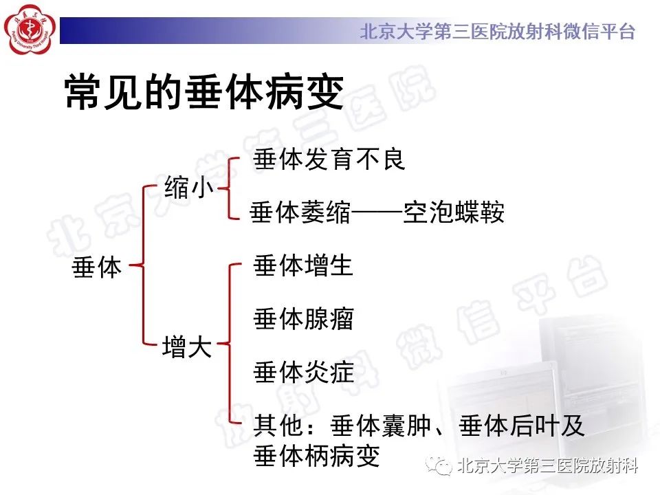 影像PPT - 【PPT】垂体病变的MRI诊断思路-8