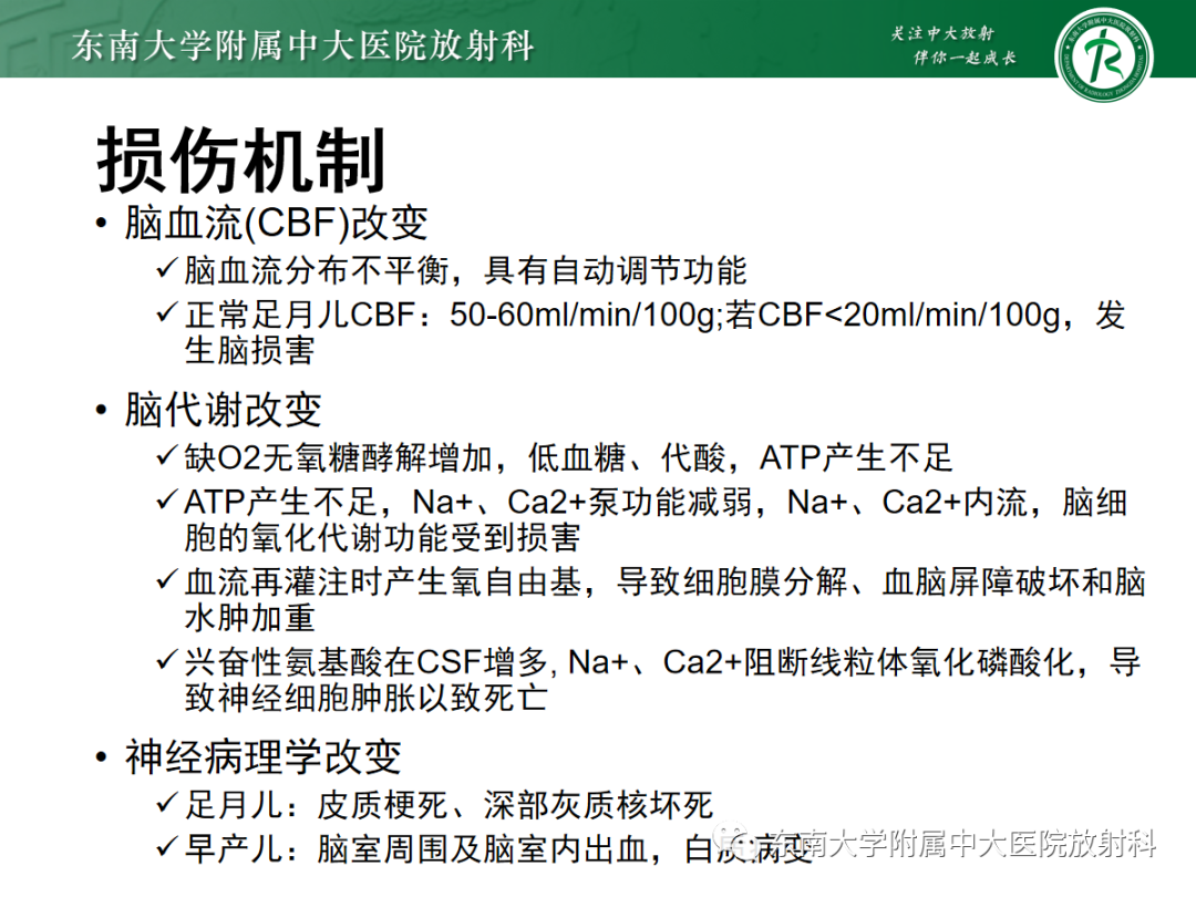 影像PPT - 【PPT】新生儿缺氧缺血性脑病-5