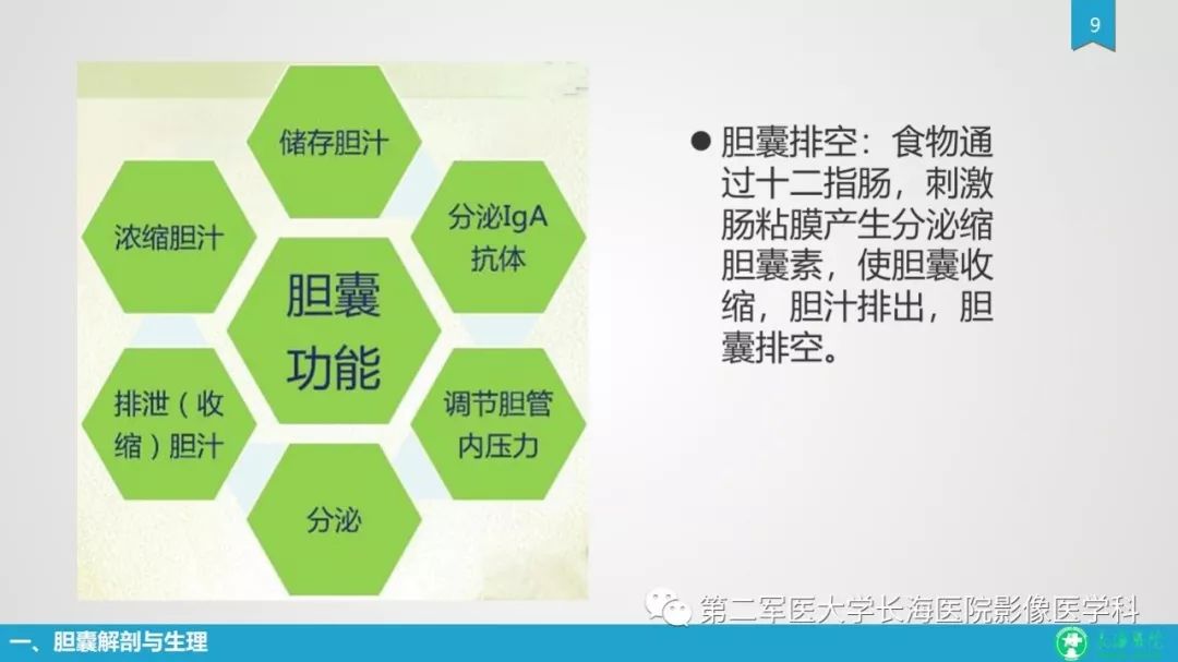 影像PPT - 【PPT】胆囊良性病变及其影像学特征-9