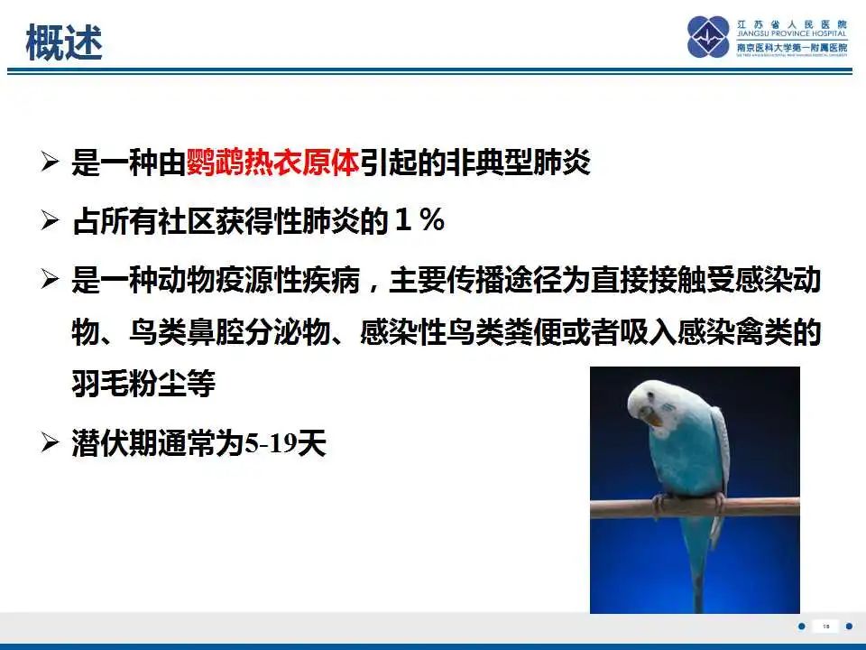 影像PPT - 【PPT】鹦鹉热衣原体肺炎-17