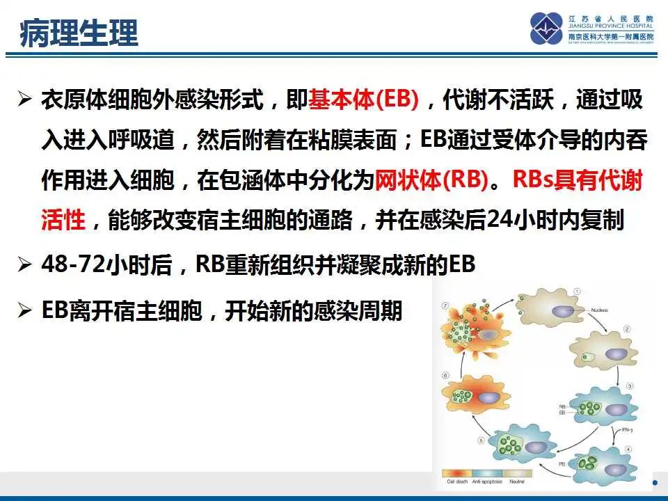 影像PPT - 【PPT】鹦鹉热衣原体肺炎-19