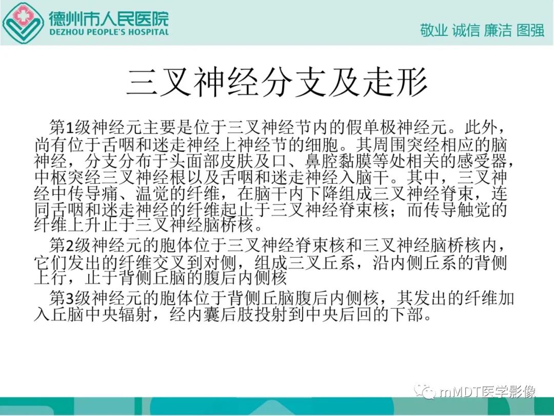 影像PPT - 【PPT】绕出崎岖孔孔道—三叉神经的颅底走形-6